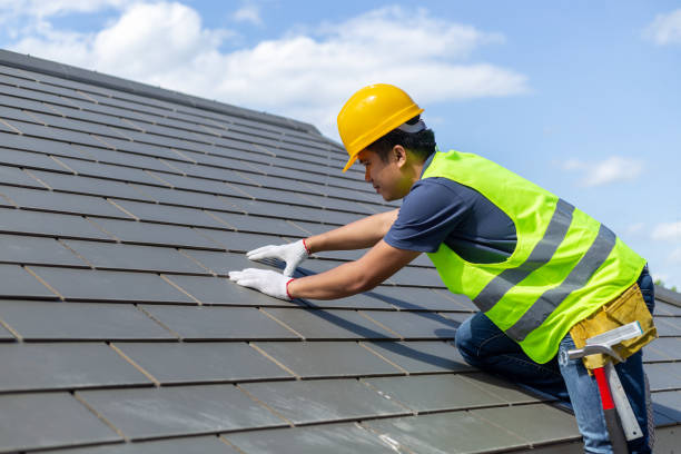 Best Storm Damage Roof Repair  in Clayton, NJ