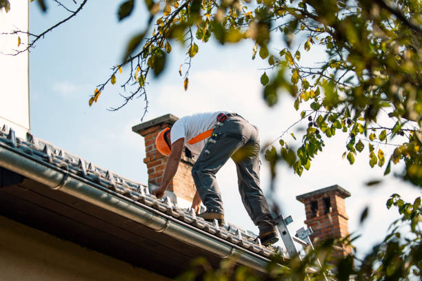 Roof Gutter Cleaning in Clayton, NJ